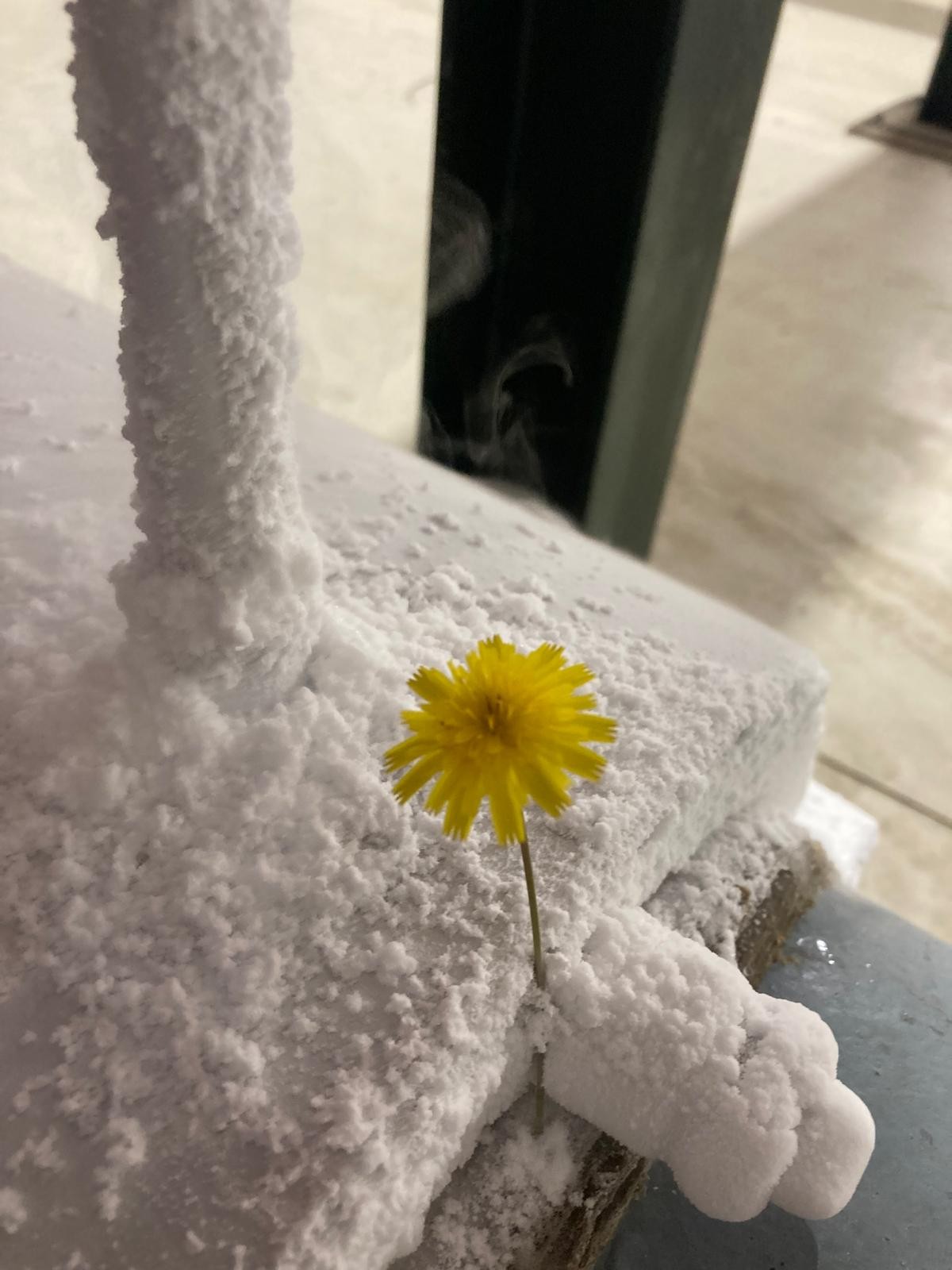 An ice flower for the customer: butterfly valve swap on DN300 without shutdown — Bild 2